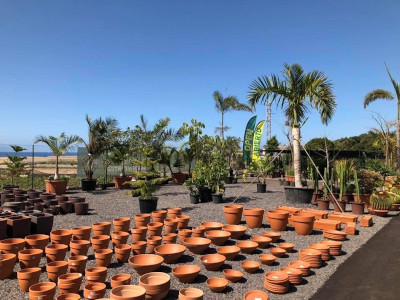 Pots