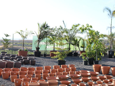 Pots