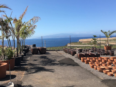 Pots