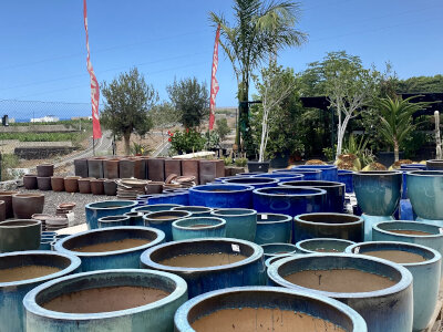 Pots