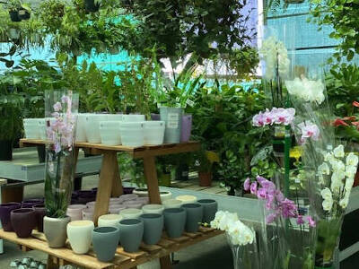 Pots