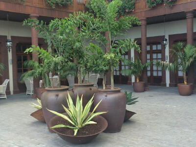 Our work